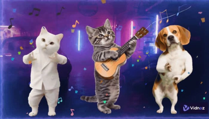 如何自製跳舞GIF？4款工具＋3種方法一鍵速成超洗腦！