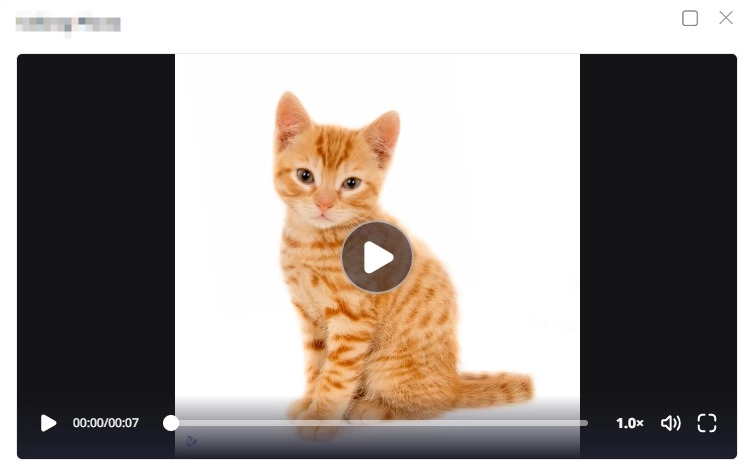 Vidnoz AI Create Talking Animals Video CN